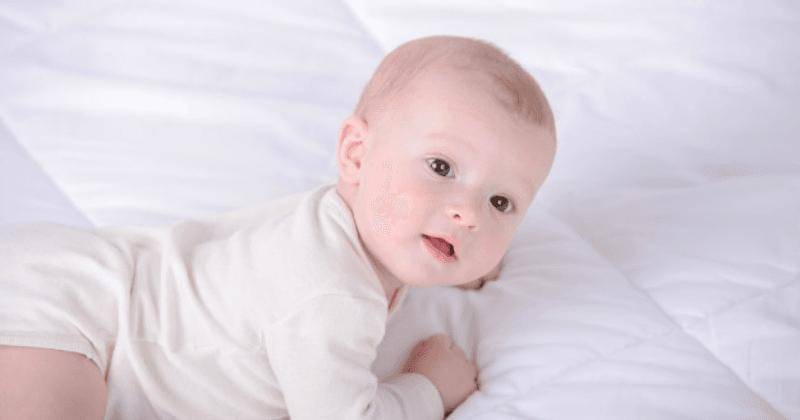 Freepik/Vgstockstudio